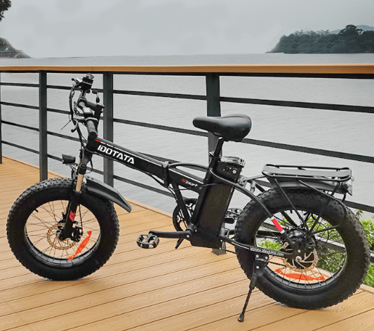 DEEPOWER G20 foldable bike for heavy rider