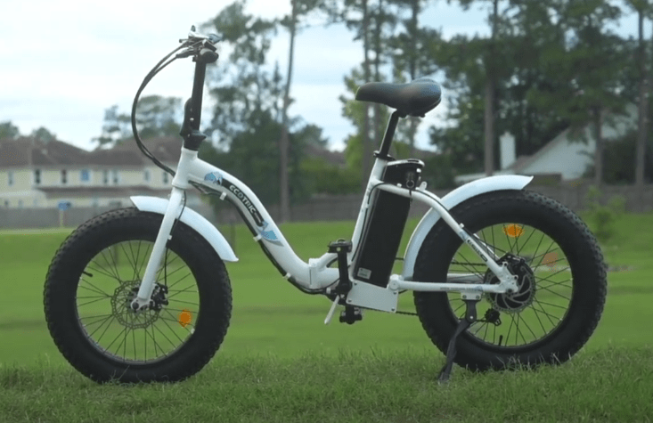 DOLPHIN vs XP™ Lite