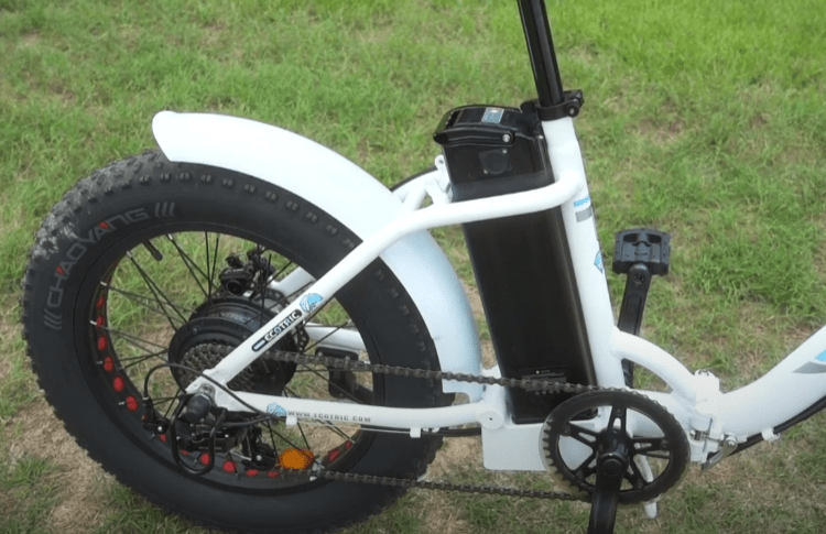 DOLPHIN versus XP™ Lite