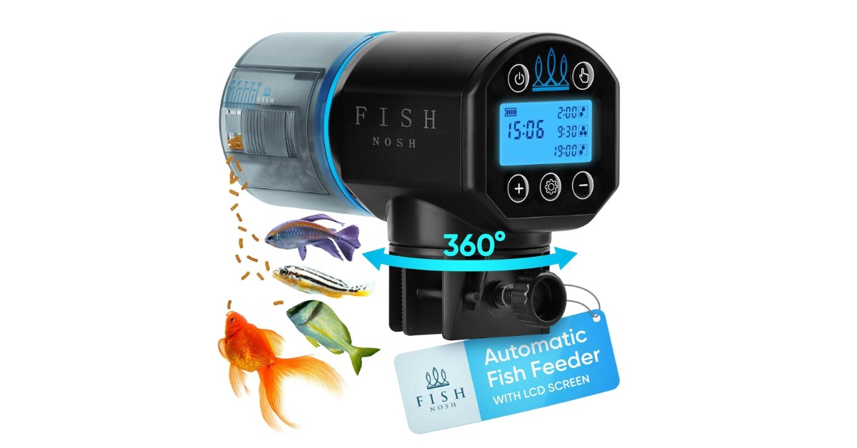 4 Best Automatic Fish Feeders in 2025 - Comparison and Review