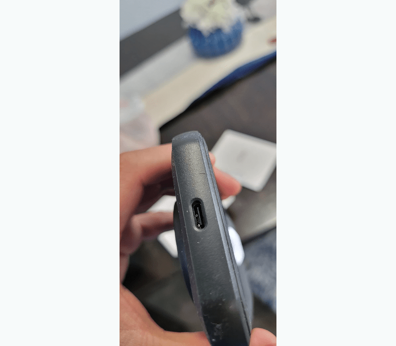 Caméra thermique FLIR C5 pour la maison