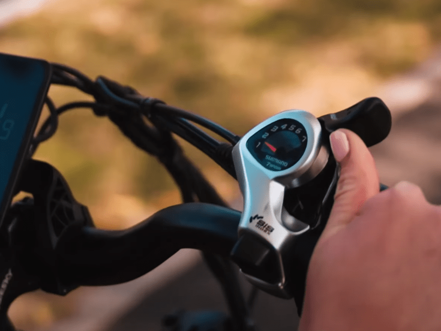 FREESKY WILD CAT PRO Electric Bike