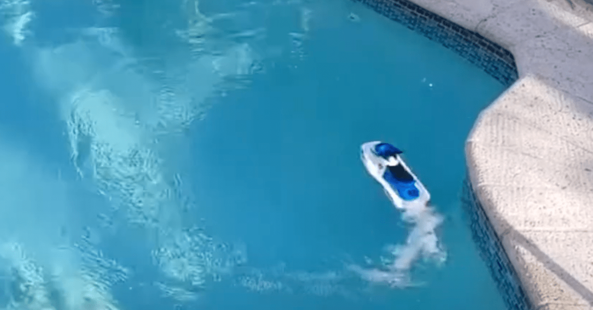 Force1 Wave Speeder pool rc boat