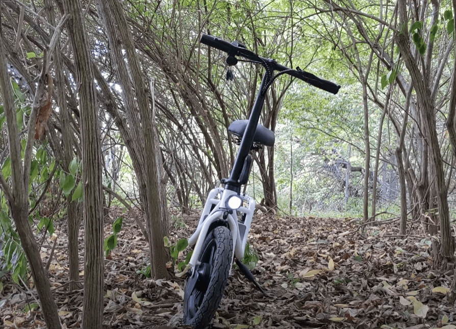 Gotrax FLEX E-Scooter