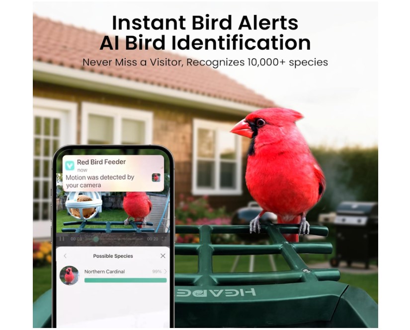 HEAPETS bird feeder motion activated camera