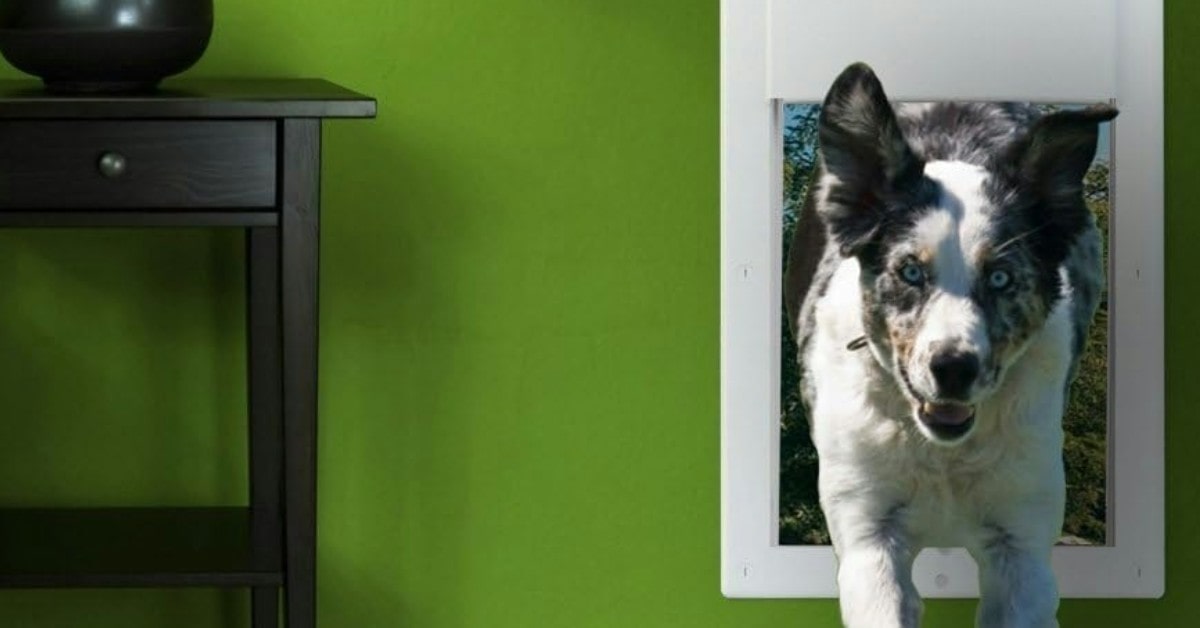 High Tech Pet doggy door