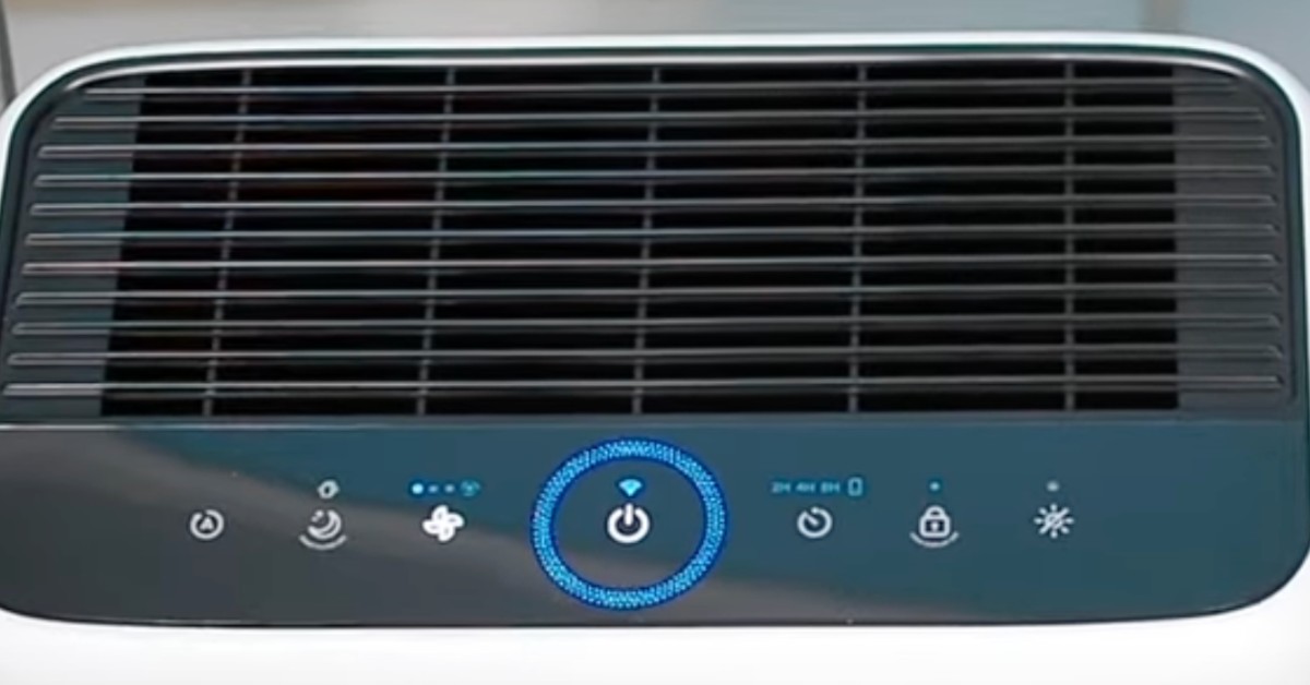 LEVOIT air purifier for cat odor