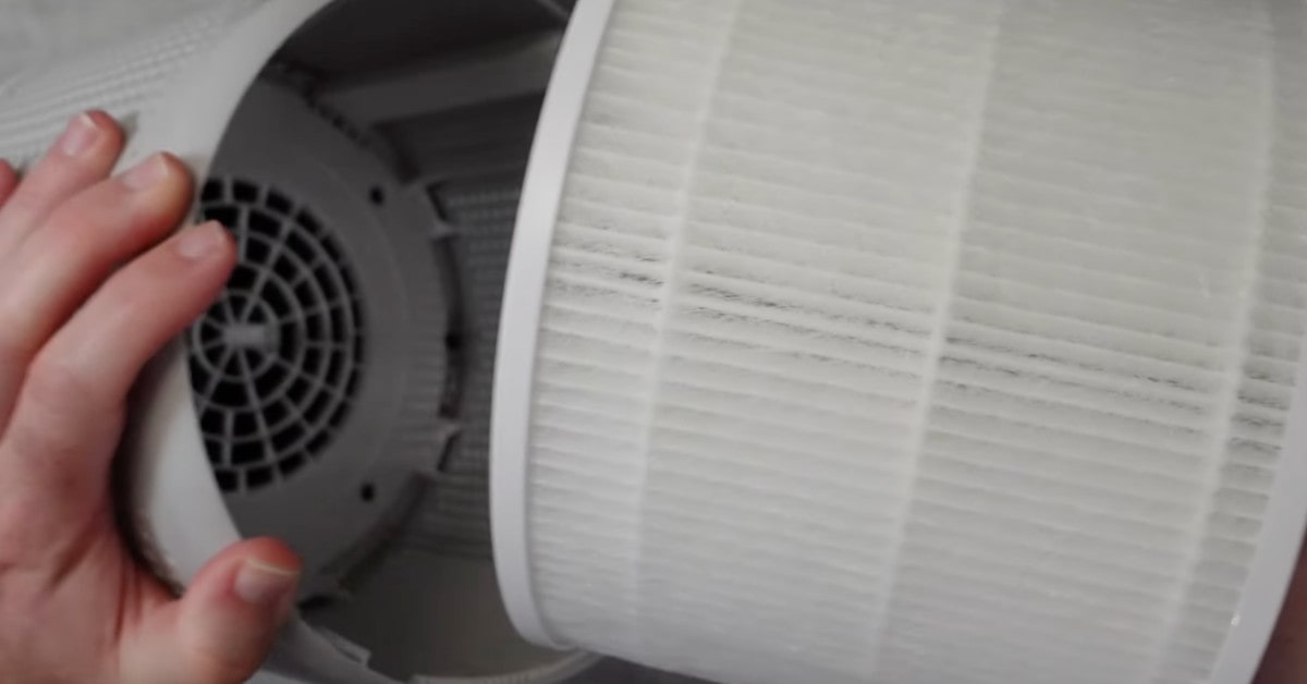 LEVOIT Core P350 air purifier for cat odor