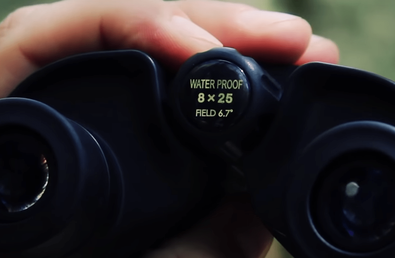 Leupold BX-1 Rogue 8x25 Hunt Binoculars