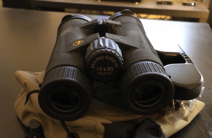 Leupold BX-4 Pro Guide HD 10x50 Waterproof Binoculars