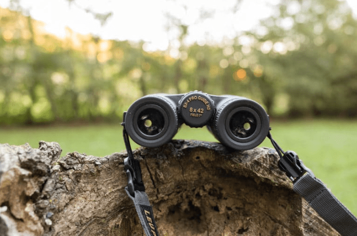Leupold BX-4 Pro Guide HD 8x42 binoculars for people with glasses