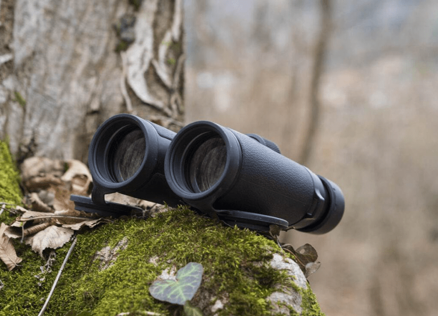 6 Best 8x42 Binoculars of February 2024 Compact Binocular 8x42 Review