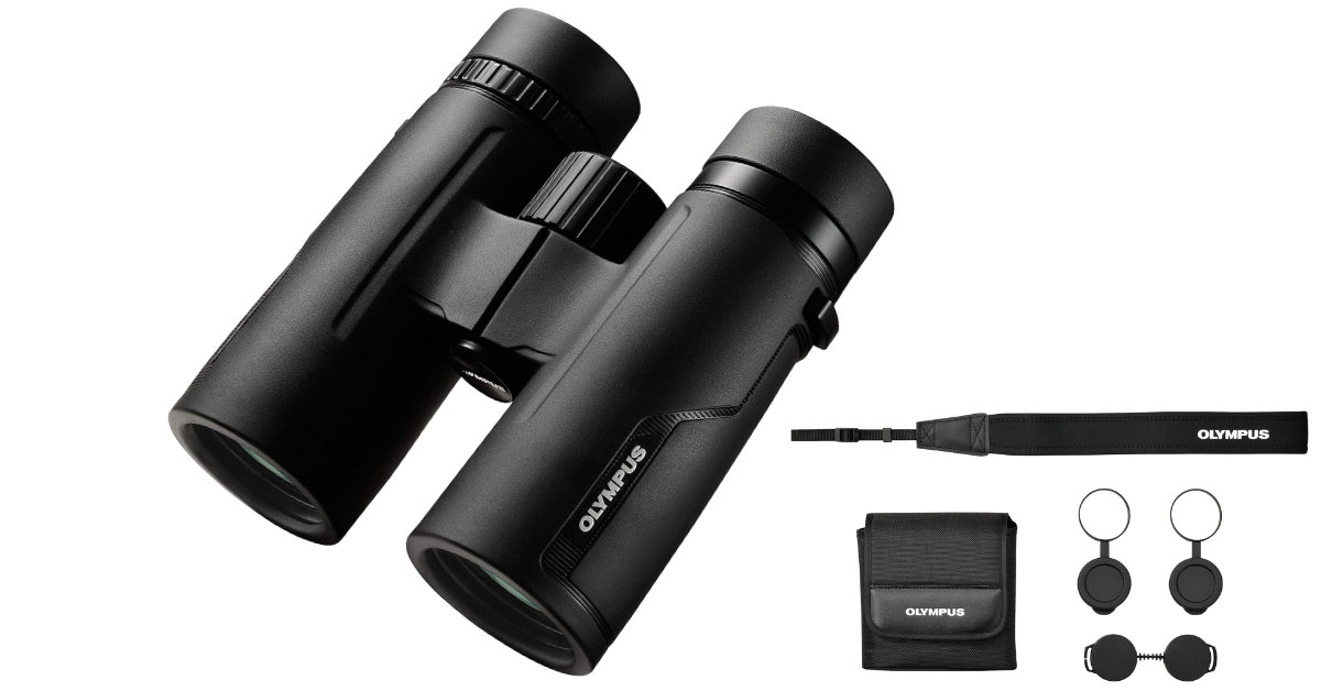5 Best Binoculars for Whale Watching of 2024 Whale Watching