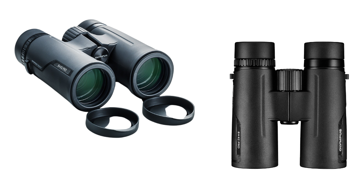 5 Best Binoculars for Whale Watching of 2024 Whale Watching