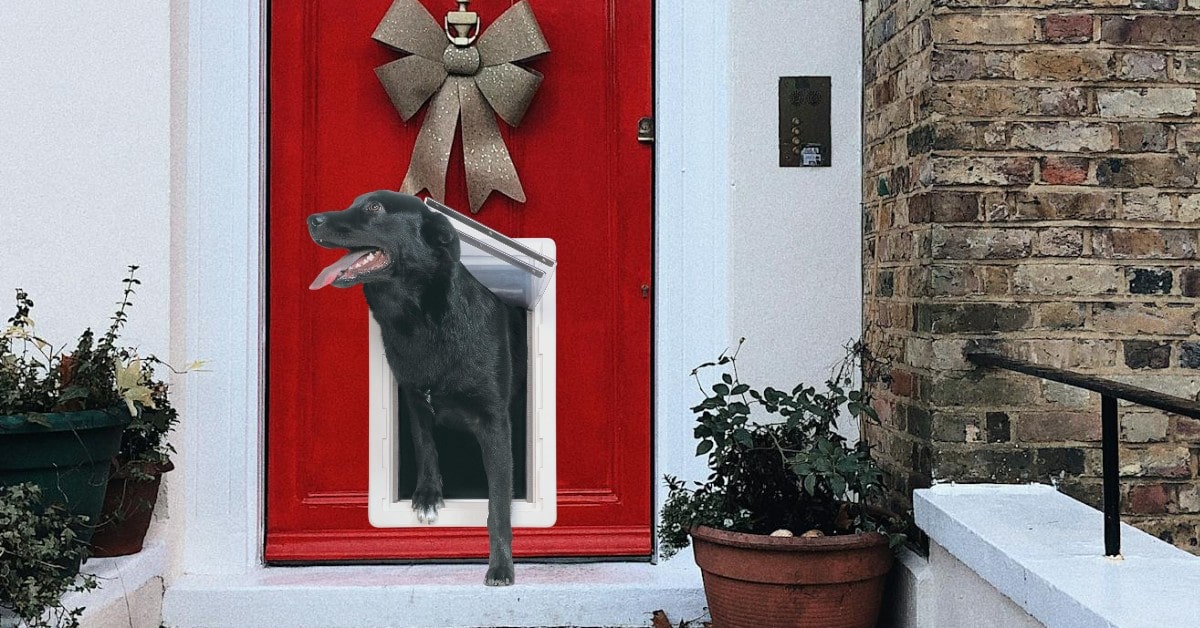 PERFECT PET The All-Weather Energy wifi dog door