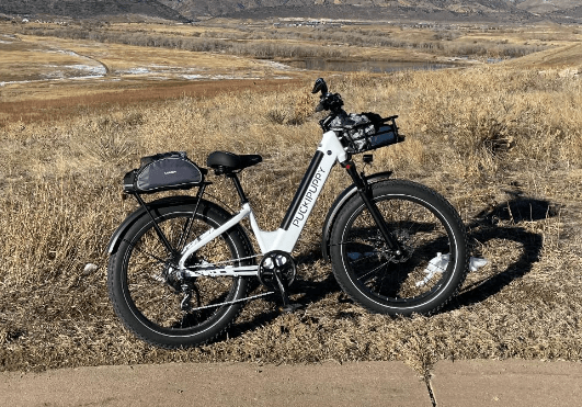 PUCKIPUPPY Samoyed eBike