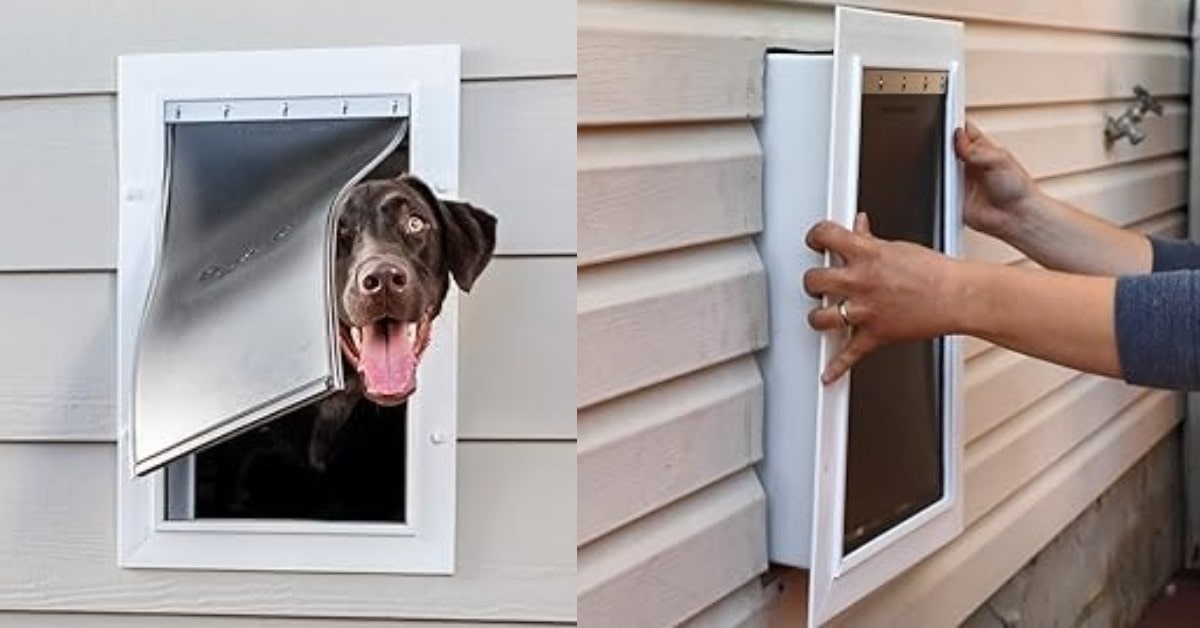 PetSafe New Wall Entry electronic dog door