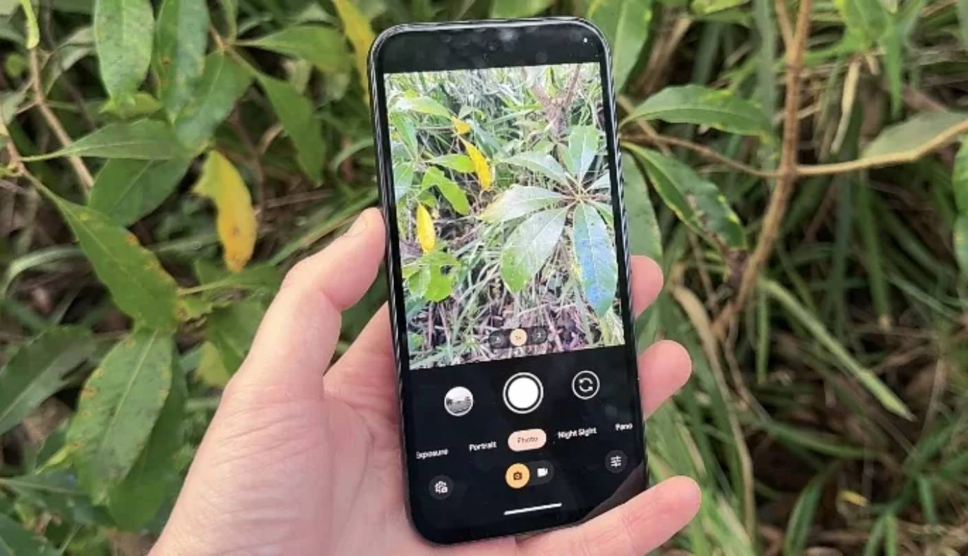 Google Pixel 8a budget camera smartphone