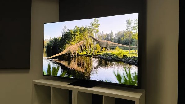 Samsung S95F qd-oled tv