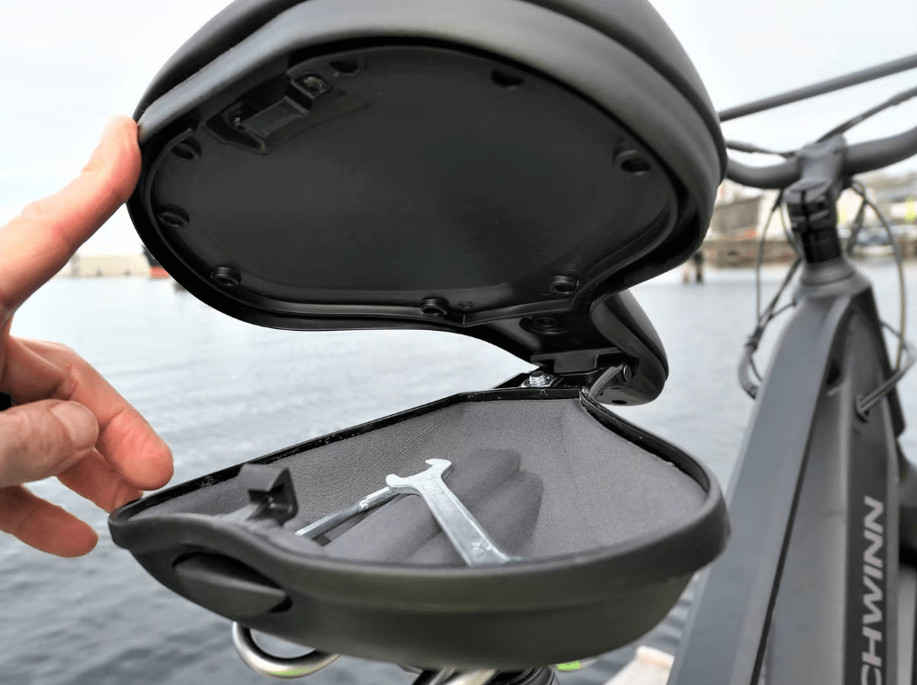 Schwinn Coston DX Adult ebike with kid seat