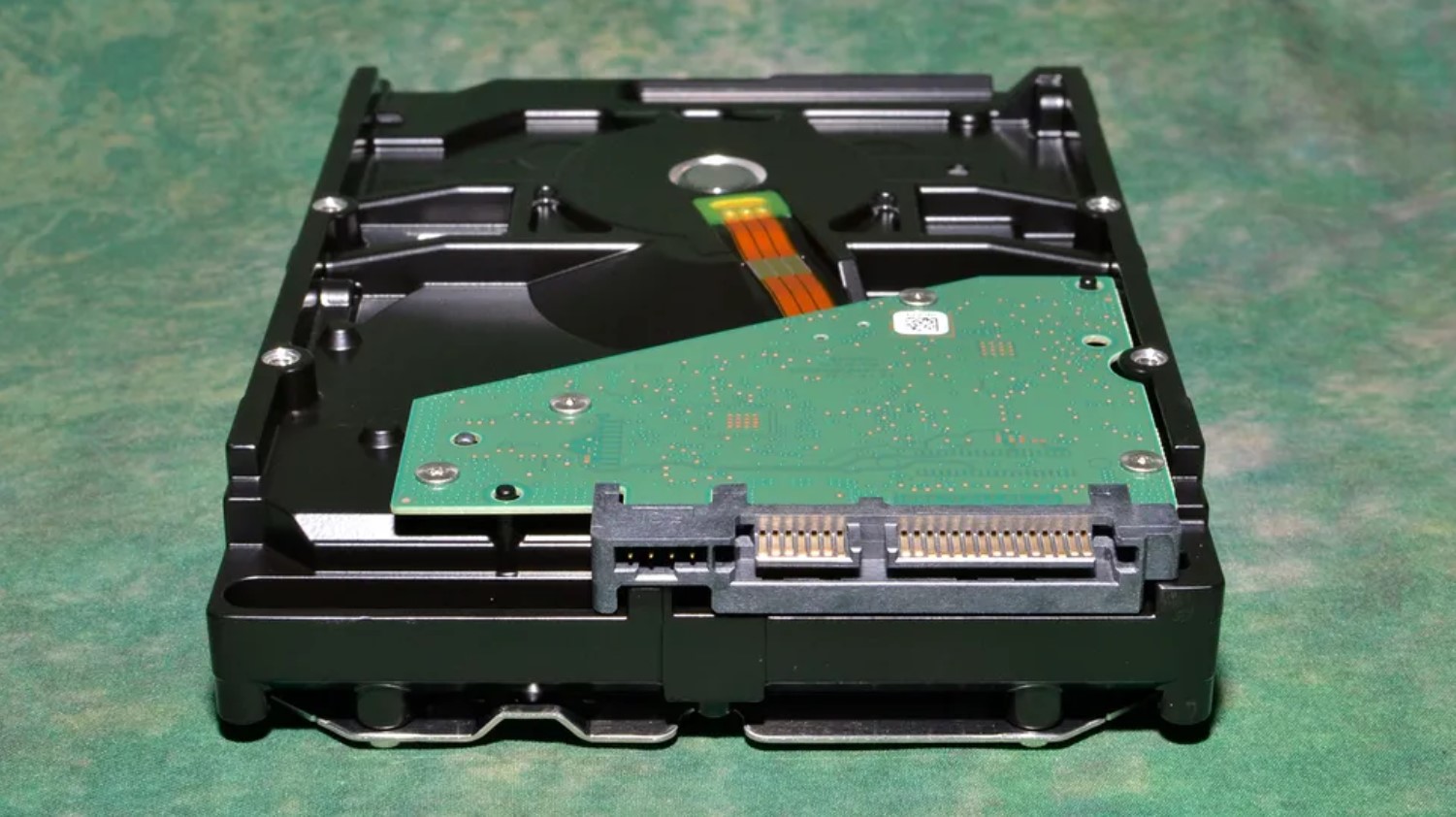 BarraCuda contre IronWolf