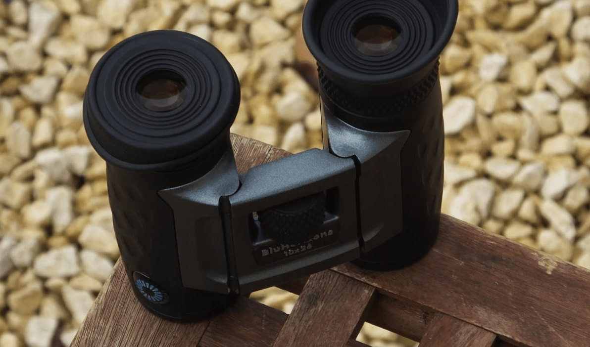 Steiner BluHorizons 10x26 binoculars with glasses