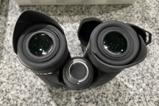 Steiner 10x42 HX vs Steiner 10x42 Predator