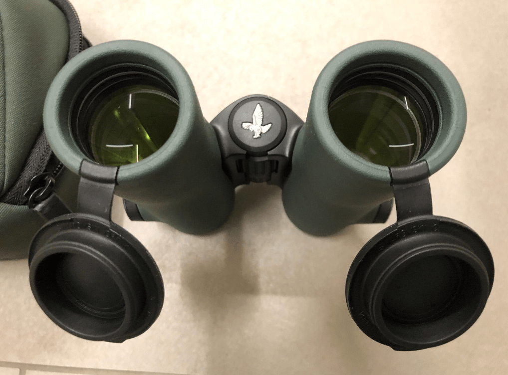 Swarovski NL Pure 10x32 Sport Binocular
