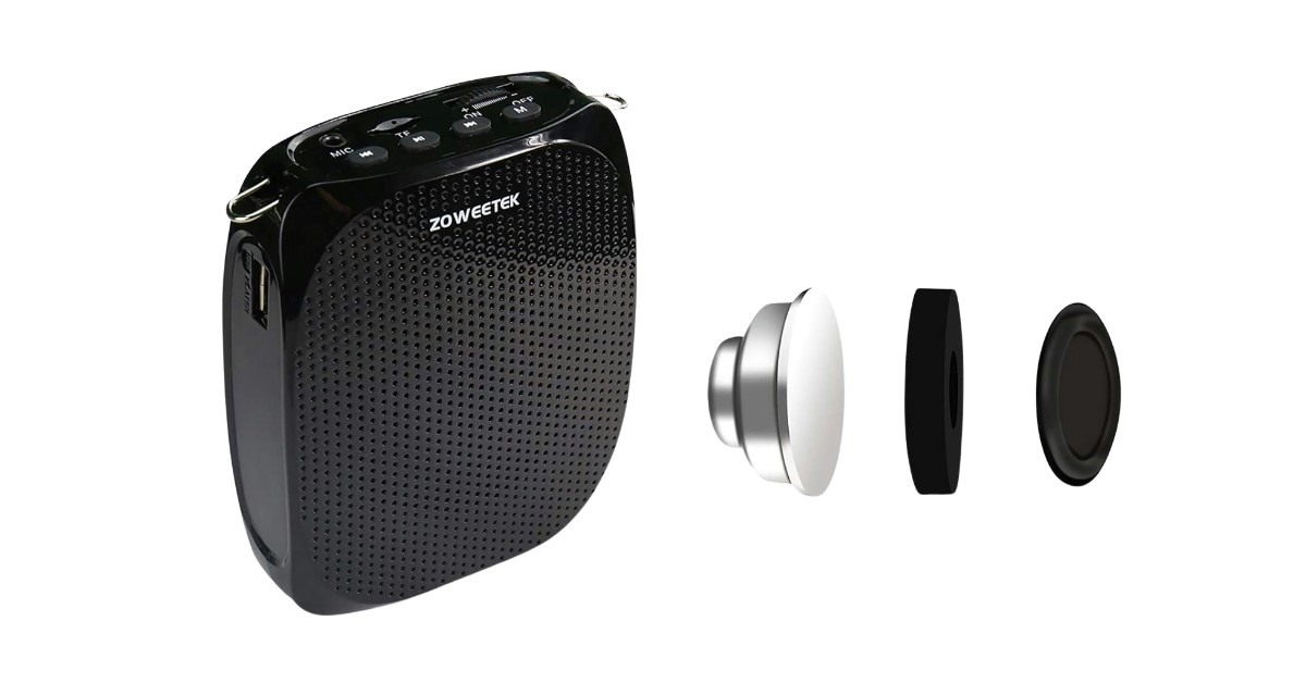 Microphones sans fil ZOWEETEK ZW-Z258 pour les présentations