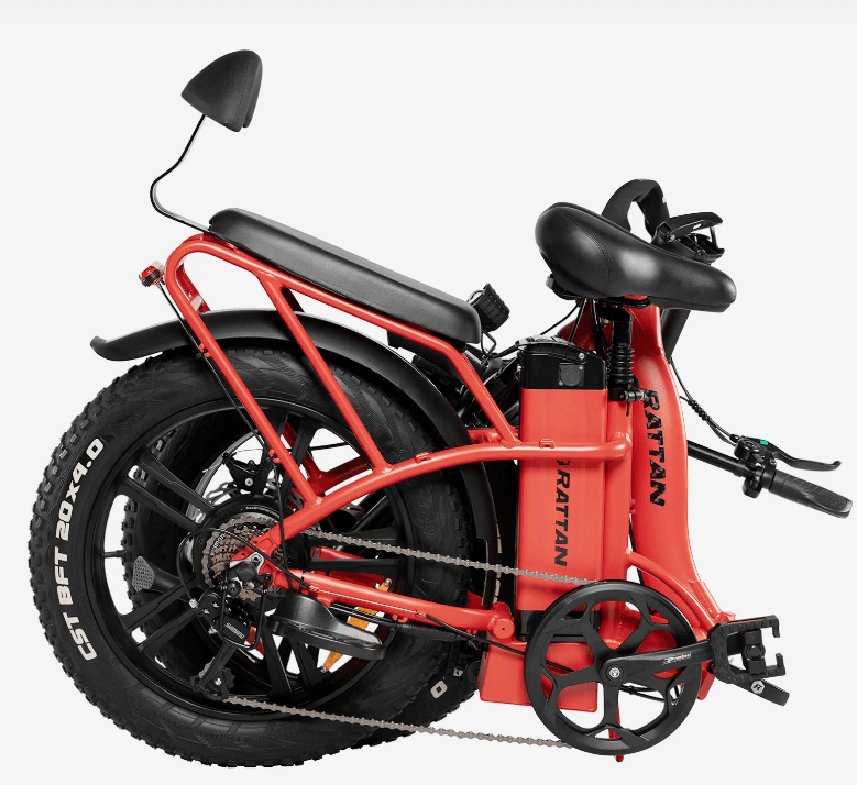 Rattan LF 750 PRO electric bike