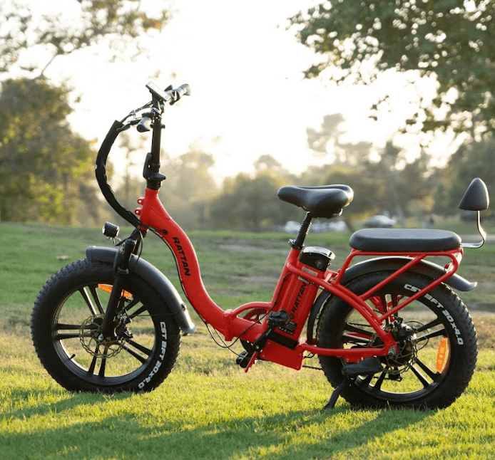 Rattan LF 750 PRO folding electric bike