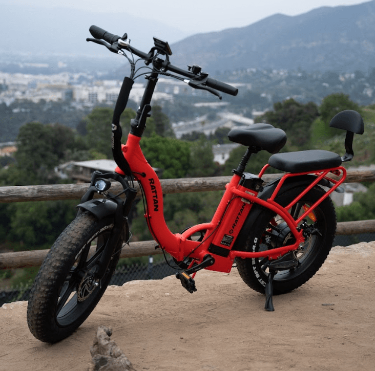 Rattan LF 750 PRO e bike