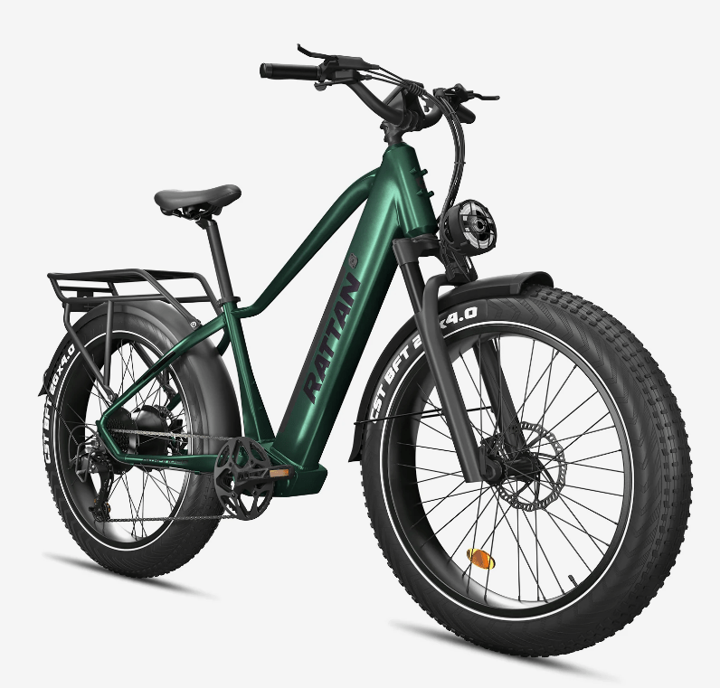 Rattan Pathfinder e bike