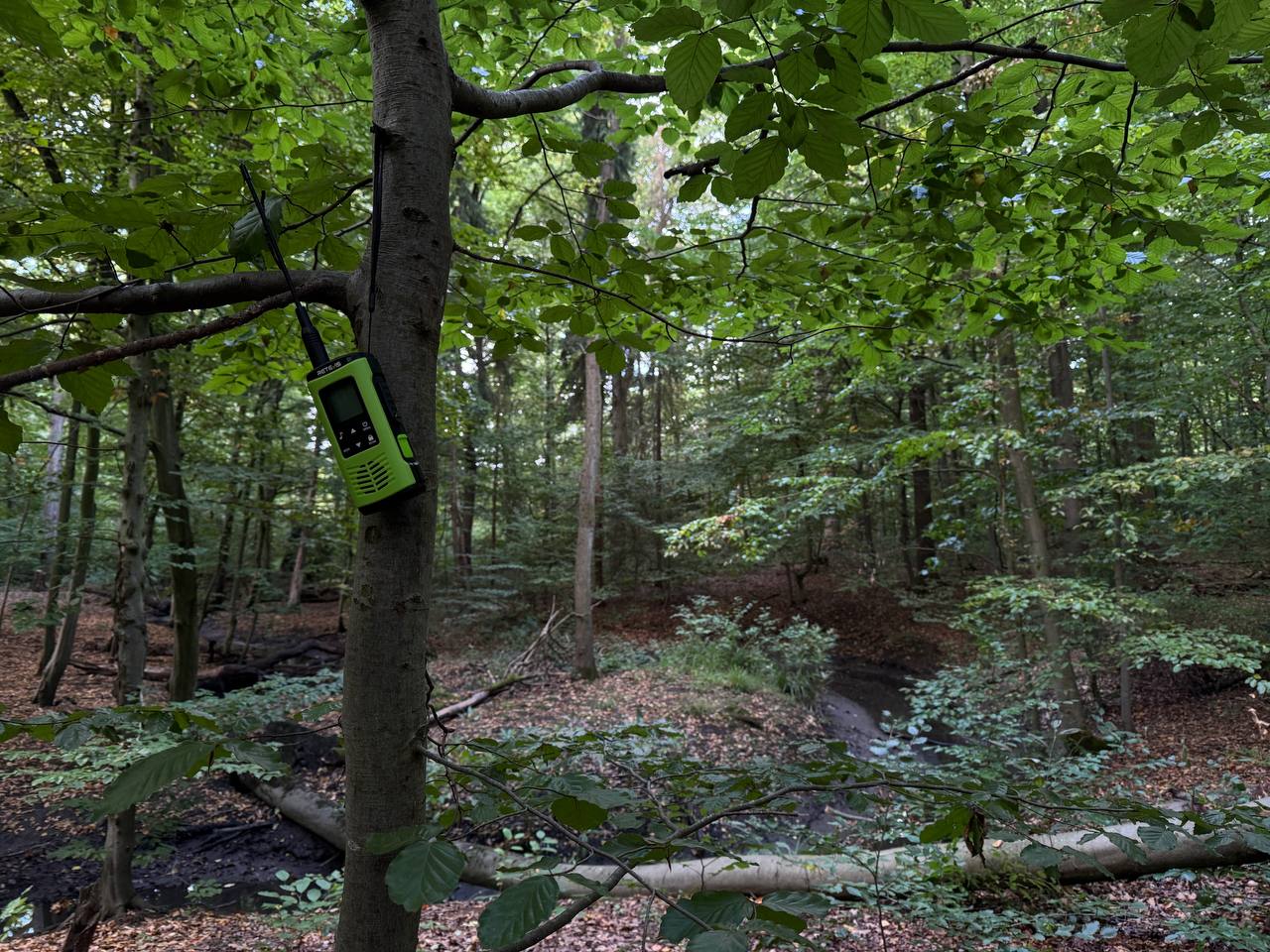 best waterproof radio