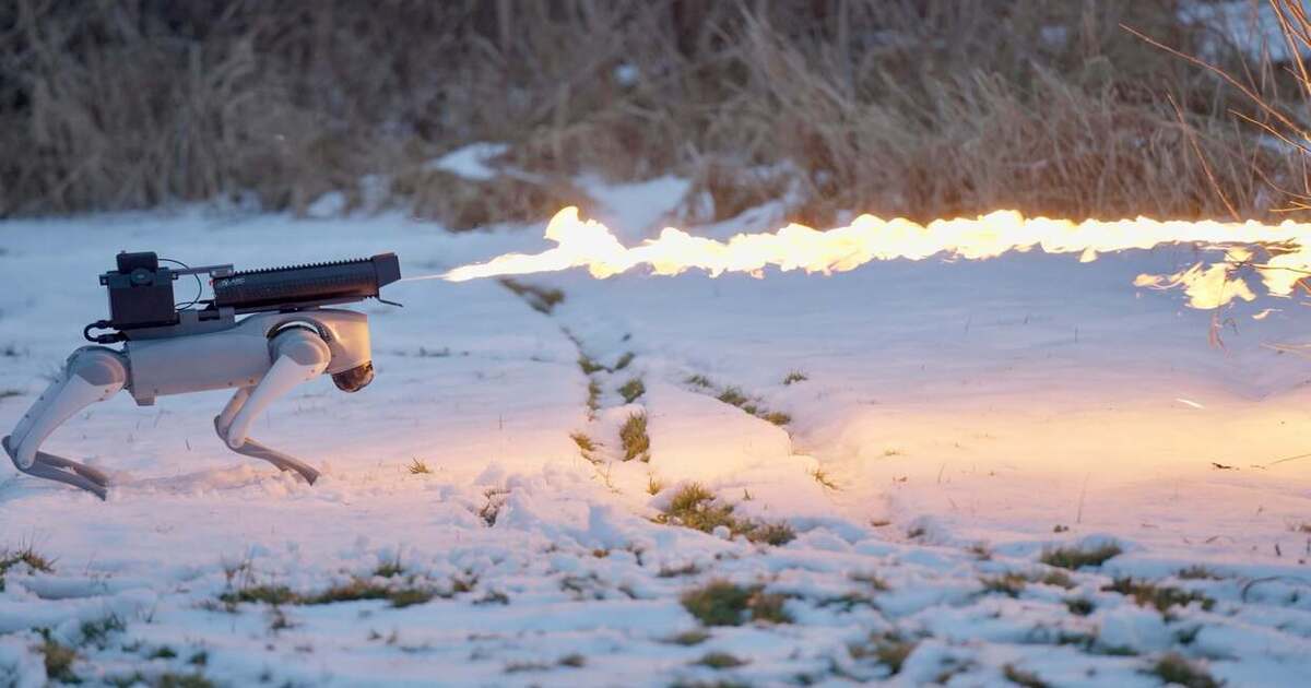 A robot dog with a flamethrower that melts snow and ignites fire: American company presents new technology