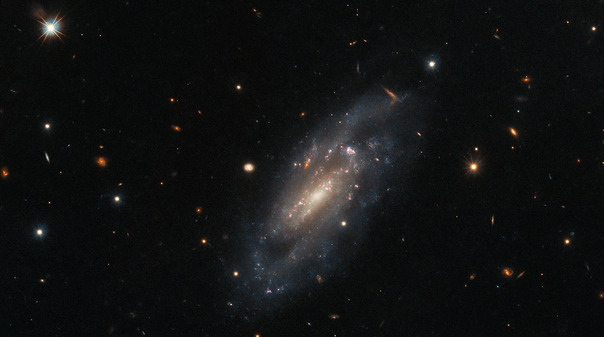 Hubble hat ein Foto einer fernen Galaxie im Sternbild Pegasus aufgenommen, die eine unvorstellbar starke Sternexplosion überlebt hat