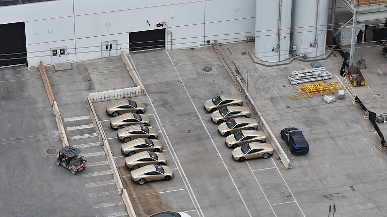 Tesla Cybercab та Model Y на дорозі