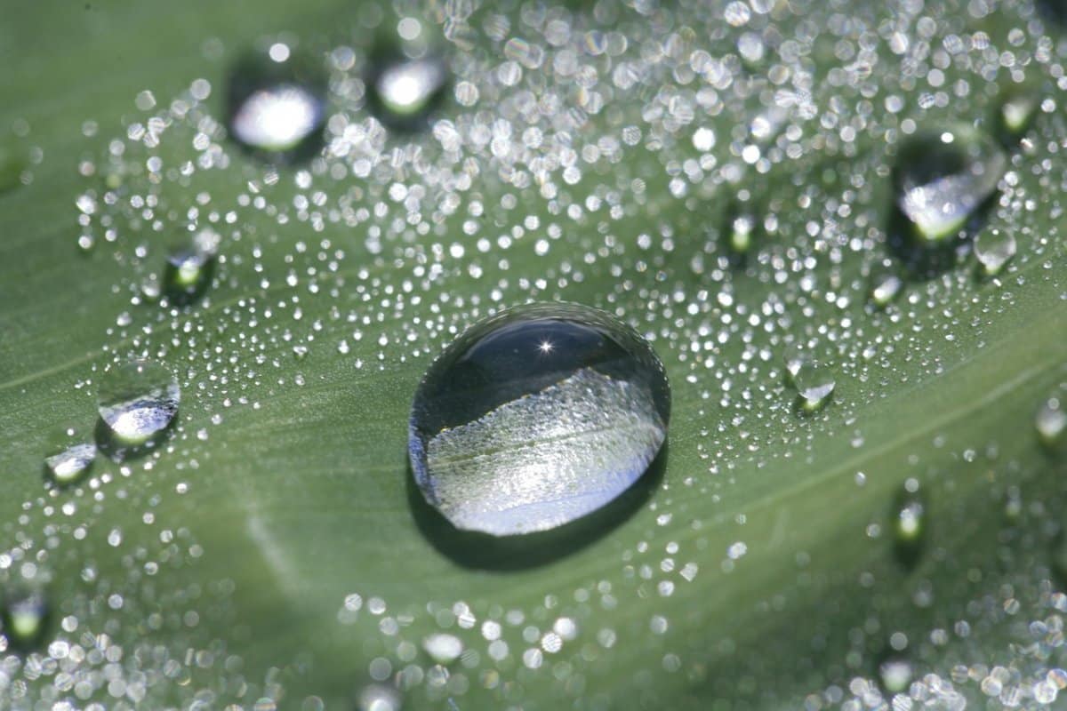 Scientists videotaped the process of water formation using nanotechnology