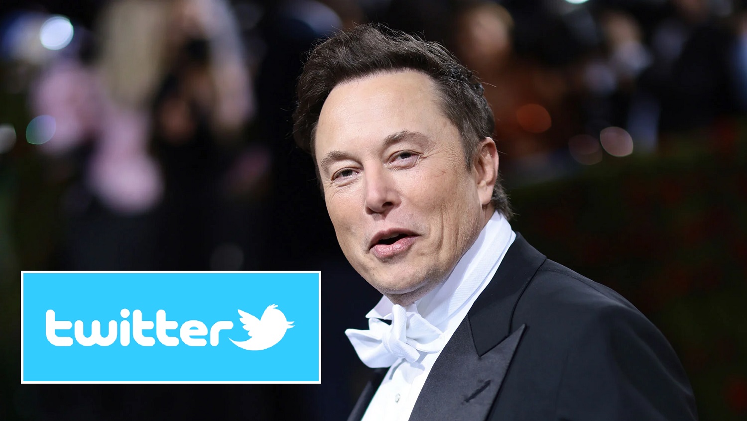 Elon Musk chce ponownie kupić Twittera za 44 mld dolarów - akcje firmy rosną o ponad 20%