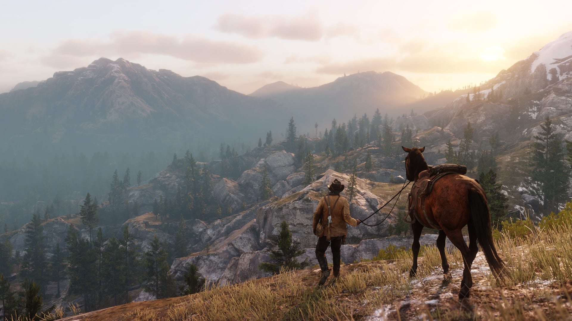 Total number of sold copies of Red Dead Redemption 2 reached 65 million units