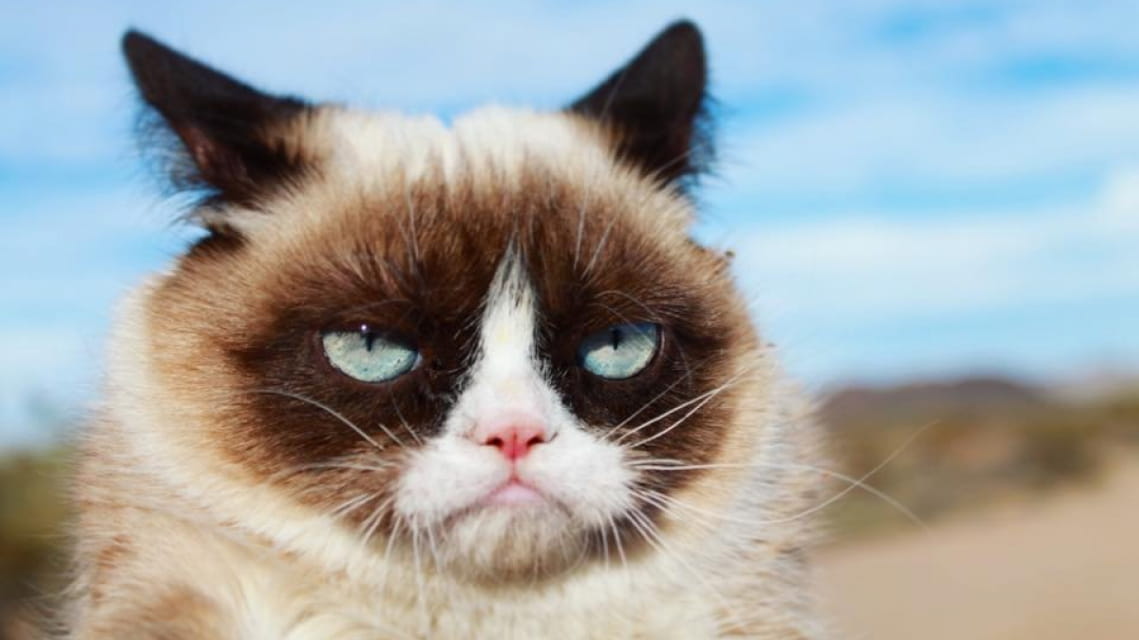 В США создали систему радиоэлектронной борьбы Angry Kitten на базе машинного обучения для истребителей