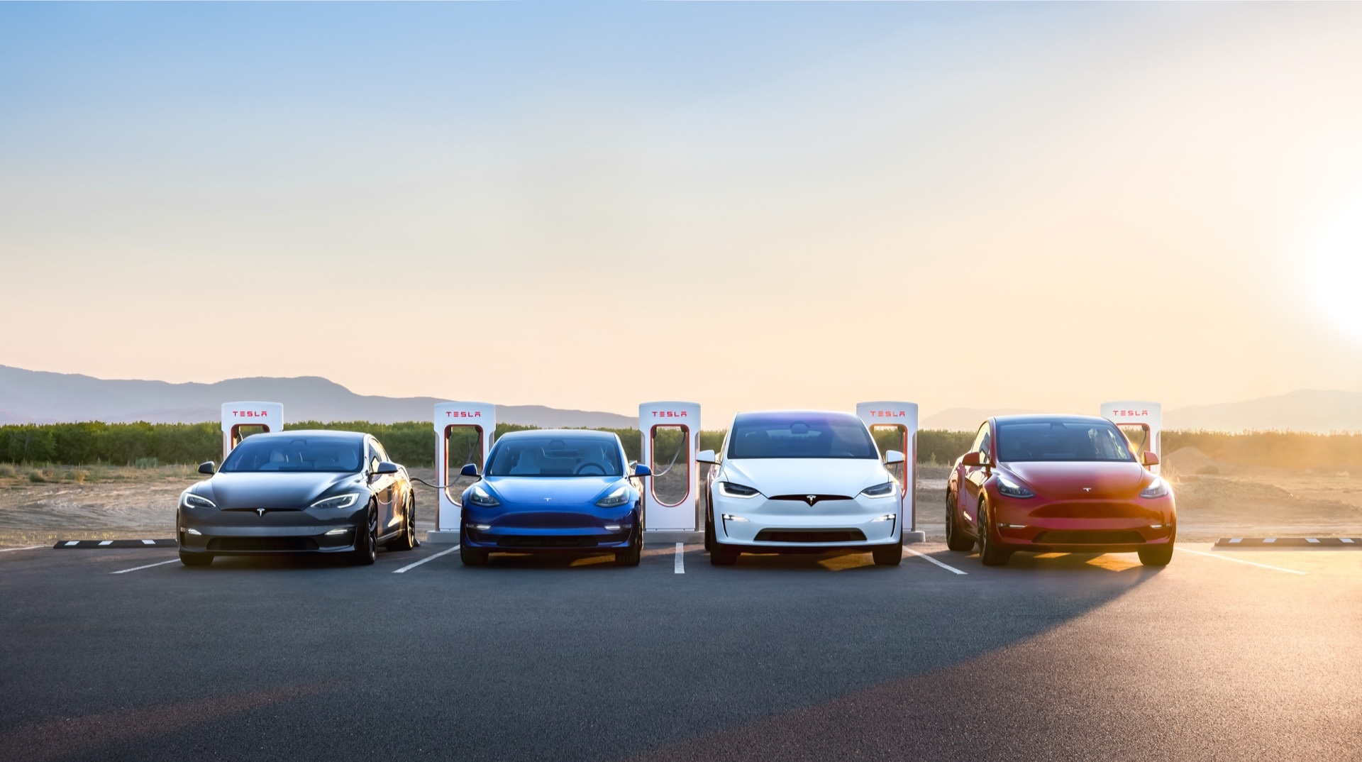 Tesla perd le marché américain des voitures électriques - La société de Musk a réduit sa part à 65 %.
