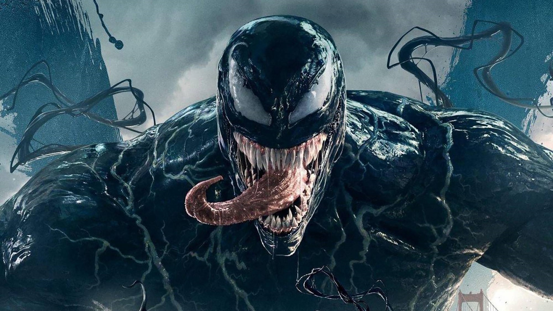A symbiosis of film and science: a new species of venomous spider has been discovered in Australia and named after Marvel anti-hero Tom Hardy