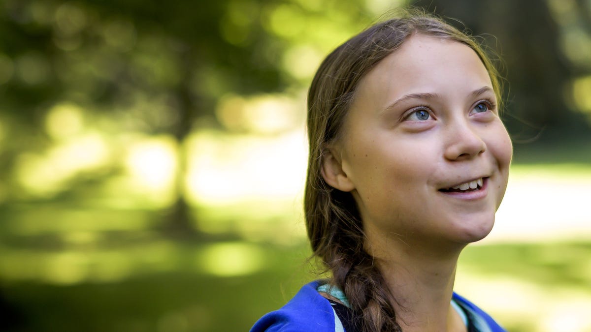 Greta Thunberg will be pleased - the EU may ban the mining of popular cryptocurrencies due to the impact on the environment