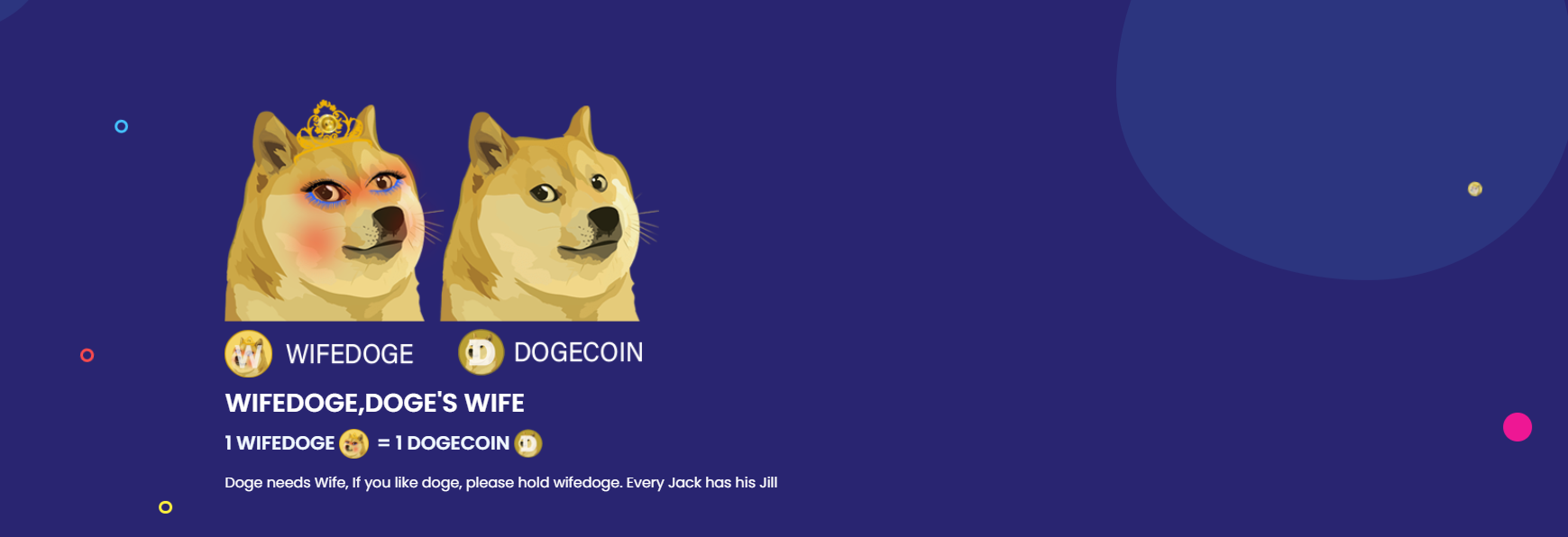 Dogecoin clone gained almost 1000% in 24 hours