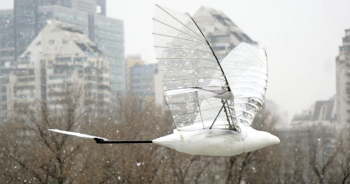 Ein chinesischer Drohnenvogel hat einen Weltrekord für die längste Flugzeit aufgestellt - er war mehr als 1,5 Stunden in der Luft