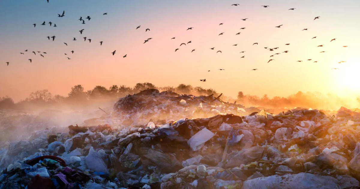 New study reveals the dire impact of landfills on the climate