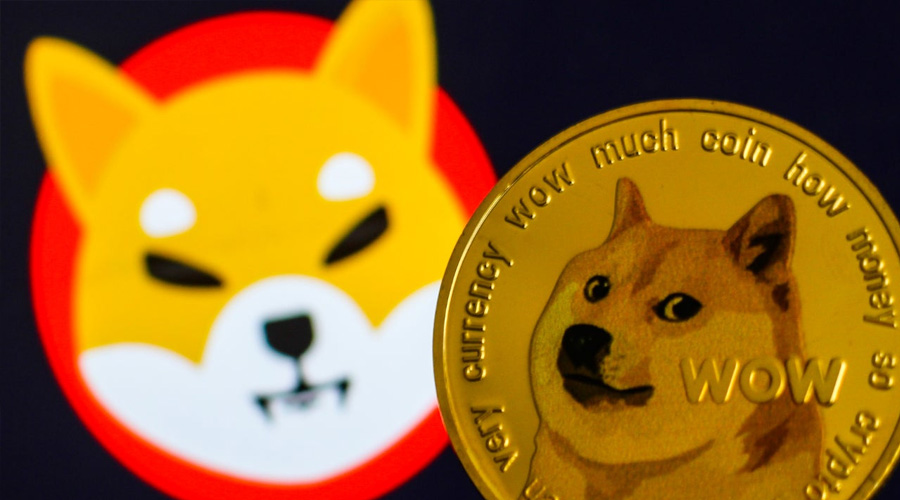 Musk zastępuje logo Twittera psem maskotką Dogecoin, zwiększając wartość kryptowaluty