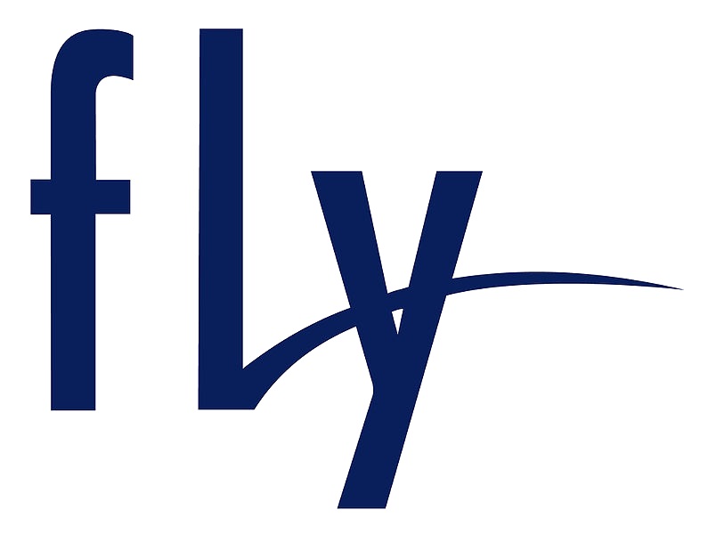 Fly выпустила браузер со встроенным VPN и платным антибаннером 