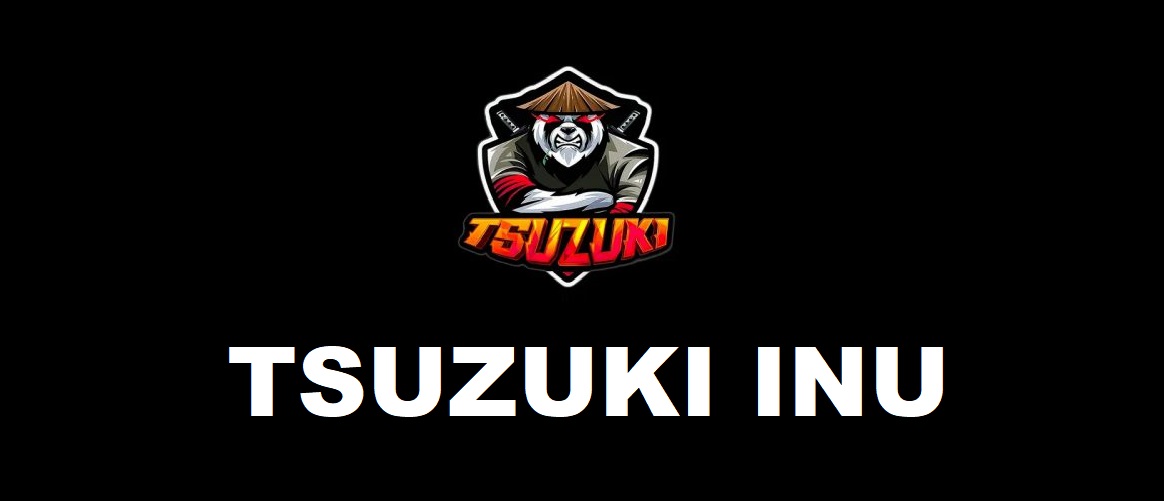 Creators of Tsuzuki Inu cryptocurrency earned over $ 1,000,000 and disappeared